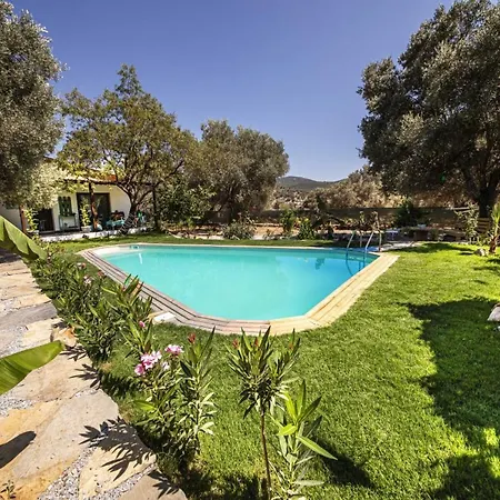 Vilă Enchanting House With Impressive Interior Design Surrounded By Nature In Bodrum