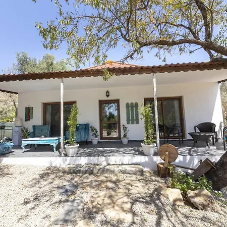 Vilă Enchanting House With Impressive Interior Design Surrounded By Nature In Bodrum *
