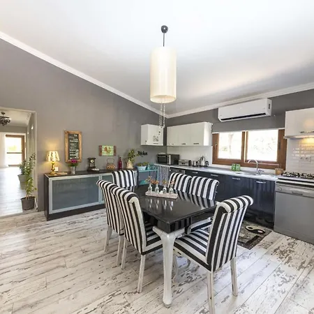 Enchanting House With Impressive Interior Design Surrounded By Nature In Bodrum Vilă