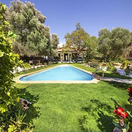 Enchanting House With Impressive Interior Design Surrounded By Nature In Bodrum Villa