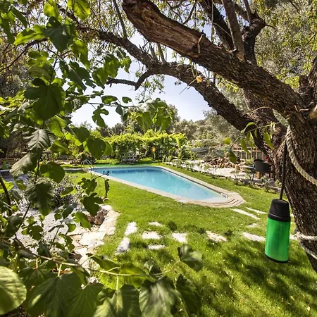 Villa Enchanting House With Impressive Interior Design Surrounded By Nature In Bodrum Yaliciftlik